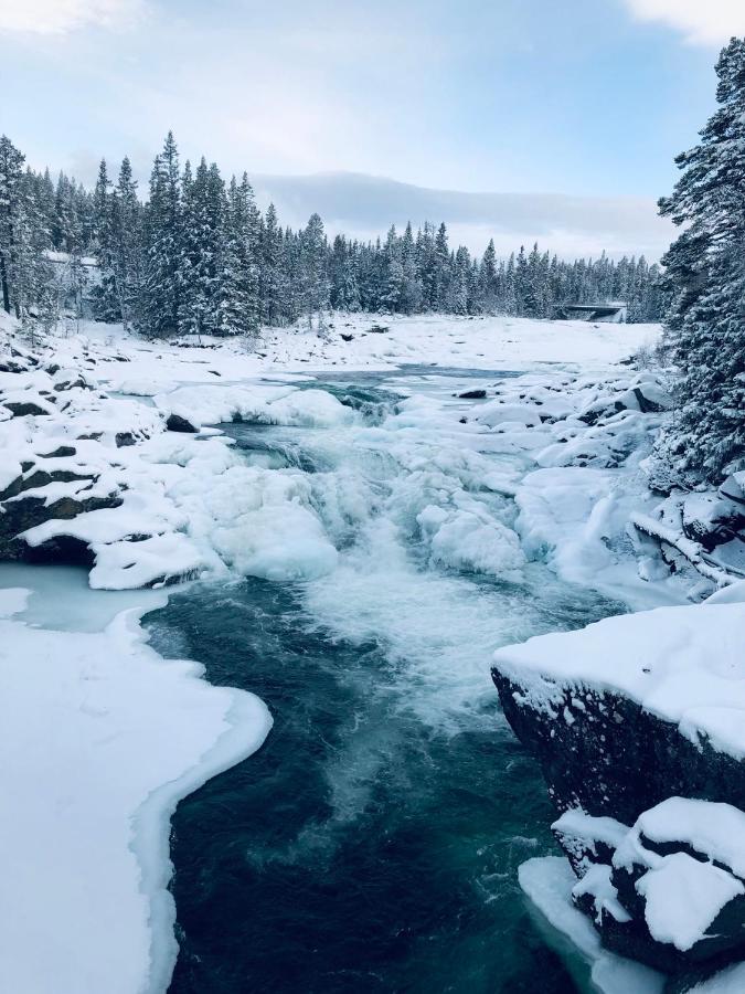 Valagardens Vaerdshus Och Camping Ab Володален Экстерьер фото