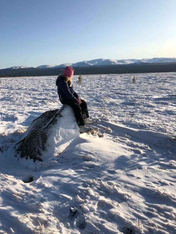 Valagardens Vaerdshus Och Camping Ab Володален Экстерьер фото